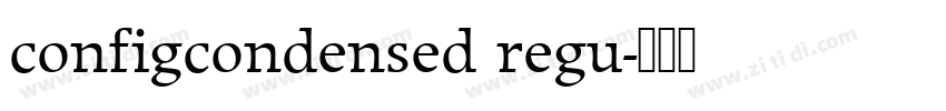 configcondensed regu字体转换